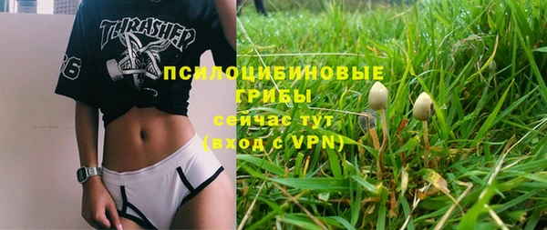 дживик Бугульма