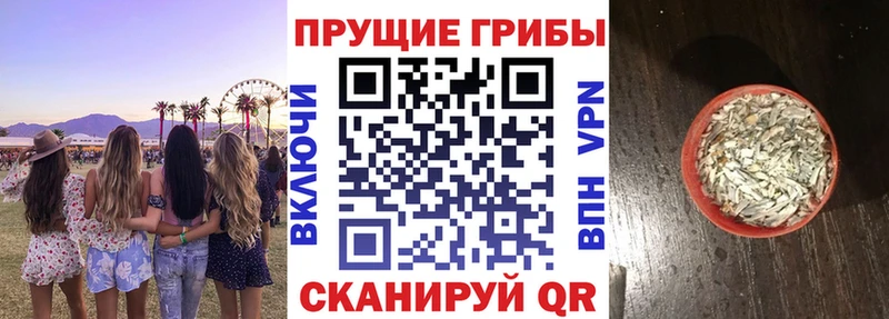 Псилоцибиновые грибы Magic Shrooms  сколько стоит  Лысково 